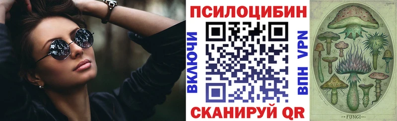 дарнет шоп Петровск-Забайкальский Псилоцибиновые грибы Psilocybine cubensis